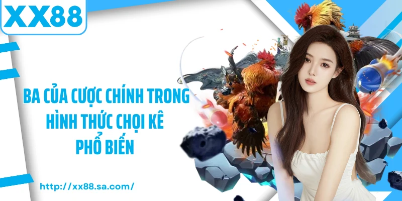 Đá Gà Campuchia - Tận Hưởng Không Gian Giải Trí Đỉnh Cao 3 Ba của cược chính trong hình thức chọi kê phổ biến