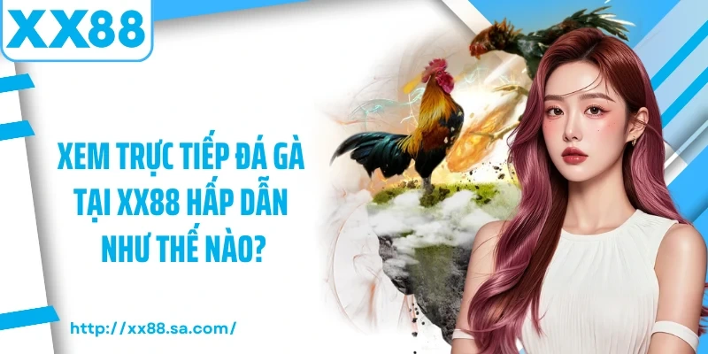 Xem trực tiếp đá gà tại XX88 hấp dẫn như thế nào?